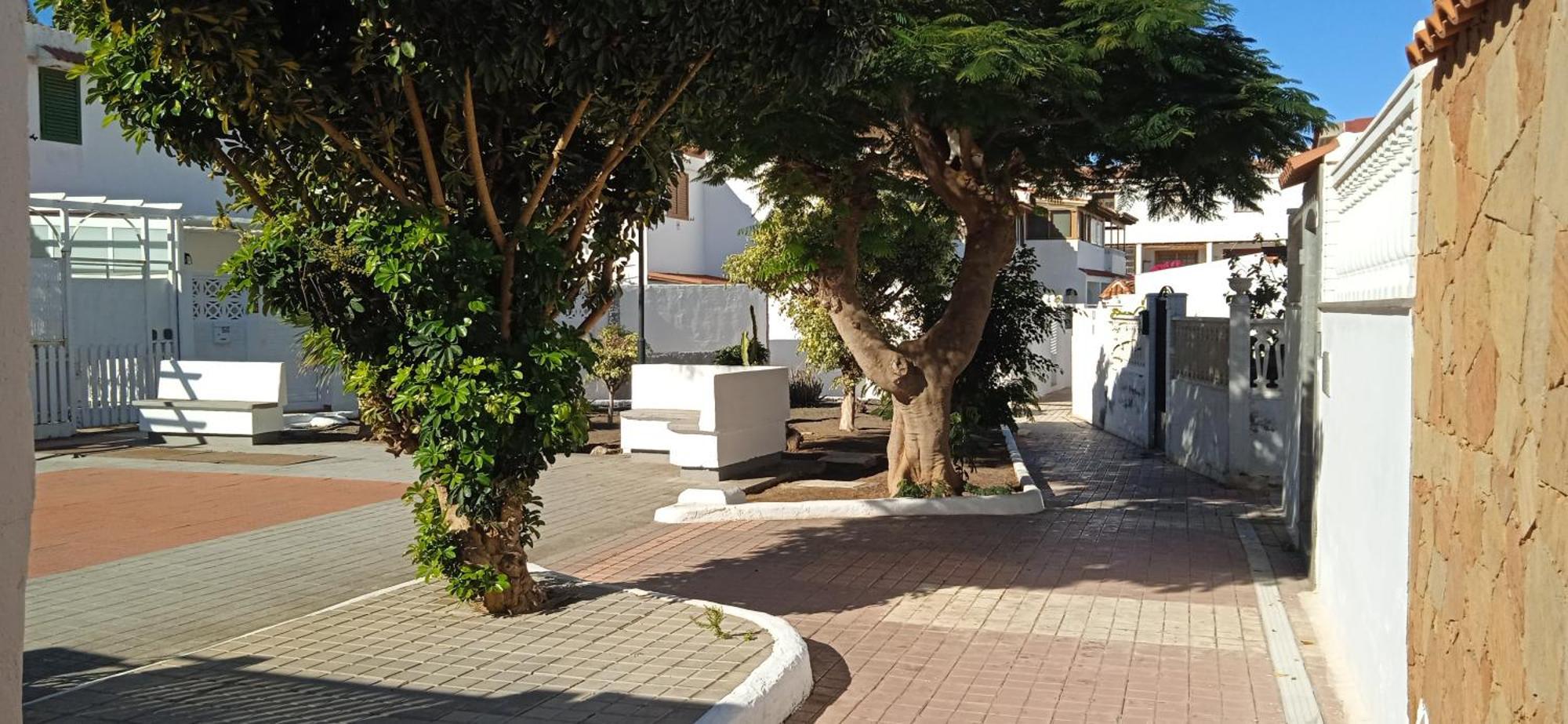 Oasis El Palmeral De Agaete Εξωτερικό φωτογραφία